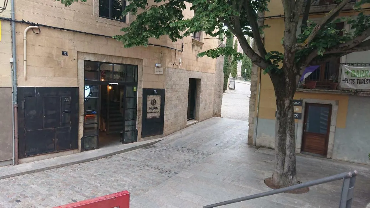 Bravissimo Old Town-Galligants Apartment Girona